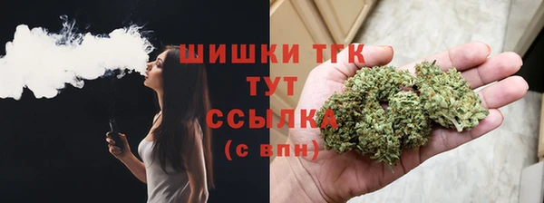 прущие грибы Краснотурьинск