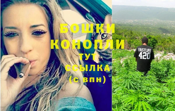 прущие грибы Краснотурьинск