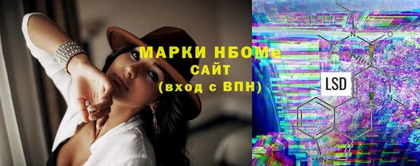 прущие грибы Краснотурьинск