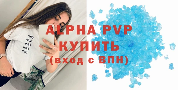 прущие грибы Краснотурьинск