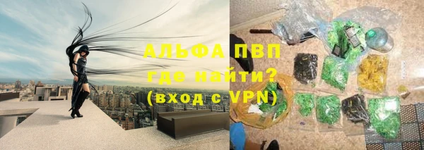 прущие грибы Краснотурьинск